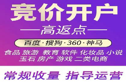 揭秘百度竞价排名：实战案例解析